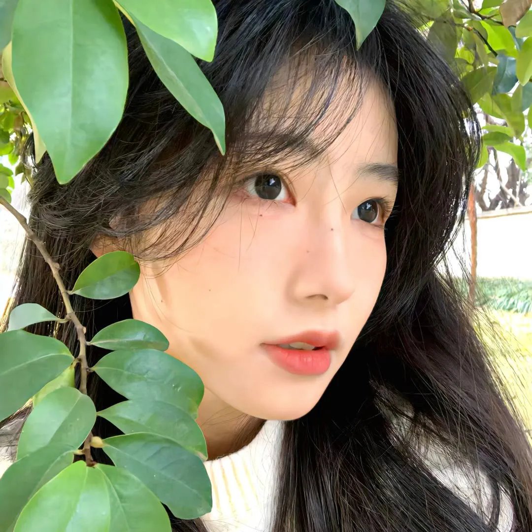 影子